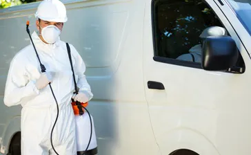 Professional spider control treatment