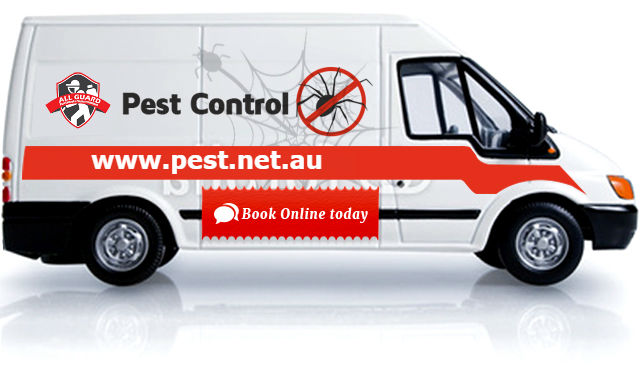 All Guard Pest Control